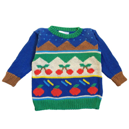 Blue Tutti Frutti sweater - nidokidswear.com