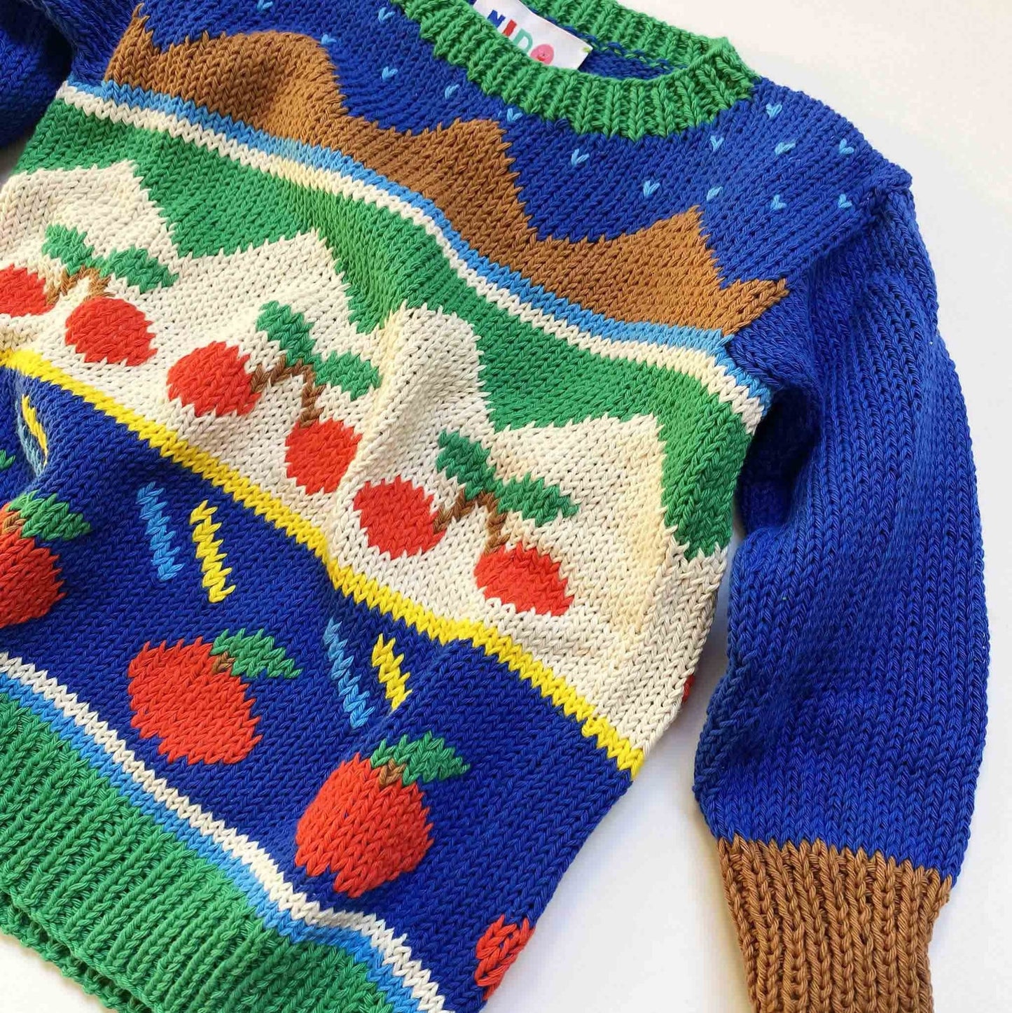 Blue Tutti Frutti sweater - nidokidswear.com