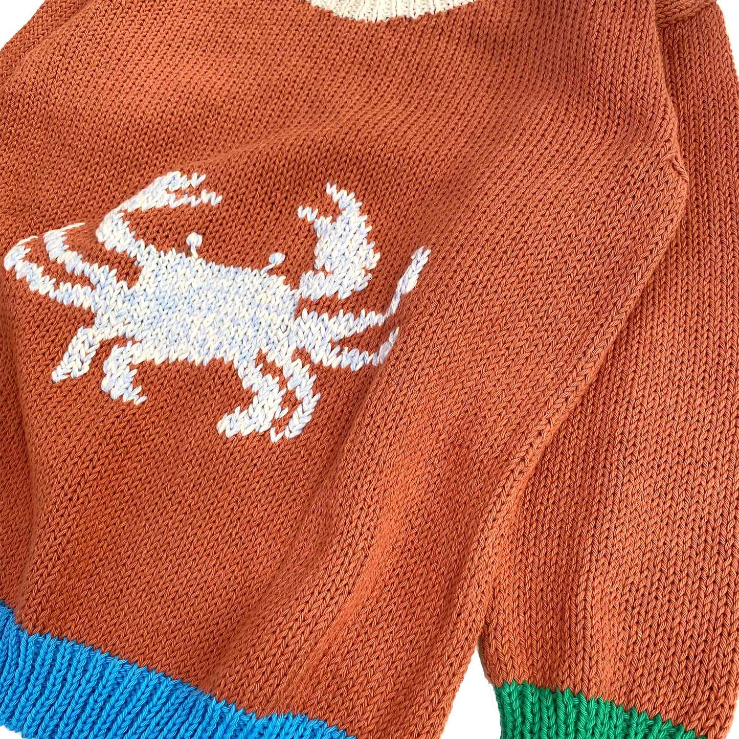 Crab Sweater - nidokidswear.com