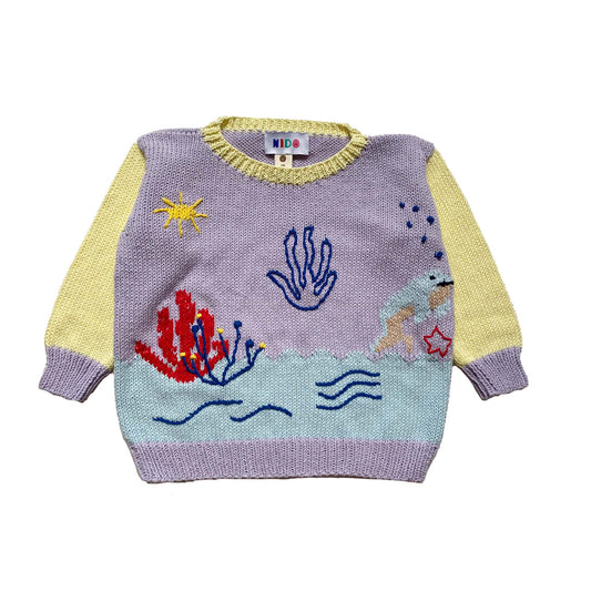 Dolphin Sweater - nidokidswear.com